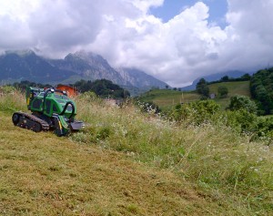 Herbhy 40 Europeo MTB in Alpago
